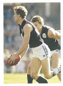 1991 Select AFL Stickers #47 Tim Rieniets Front